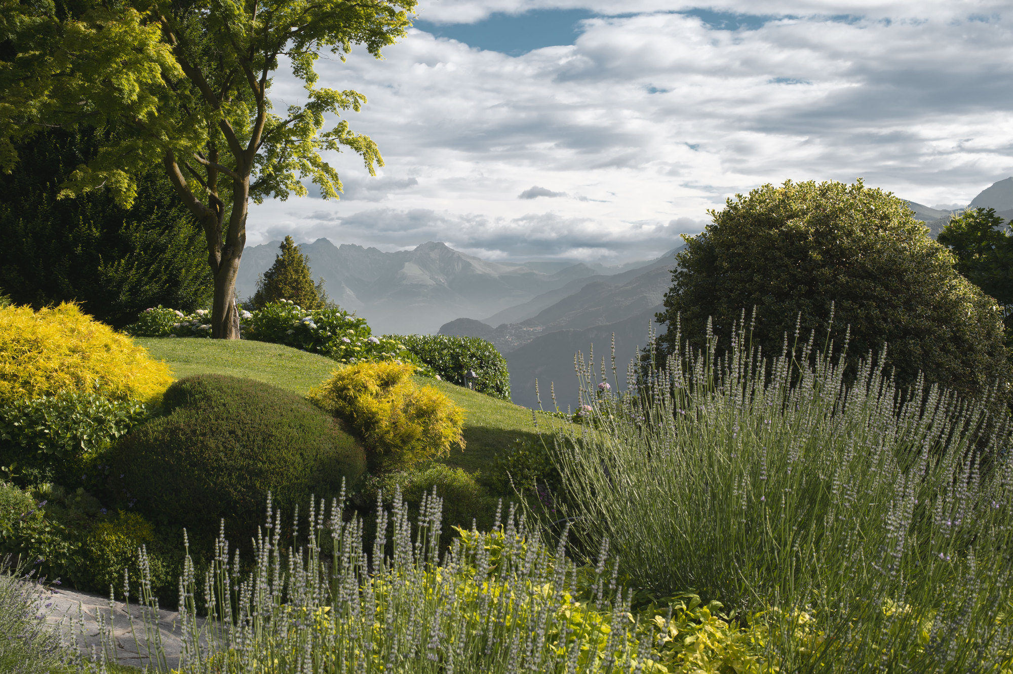 Lavender garden at Villa Cristina