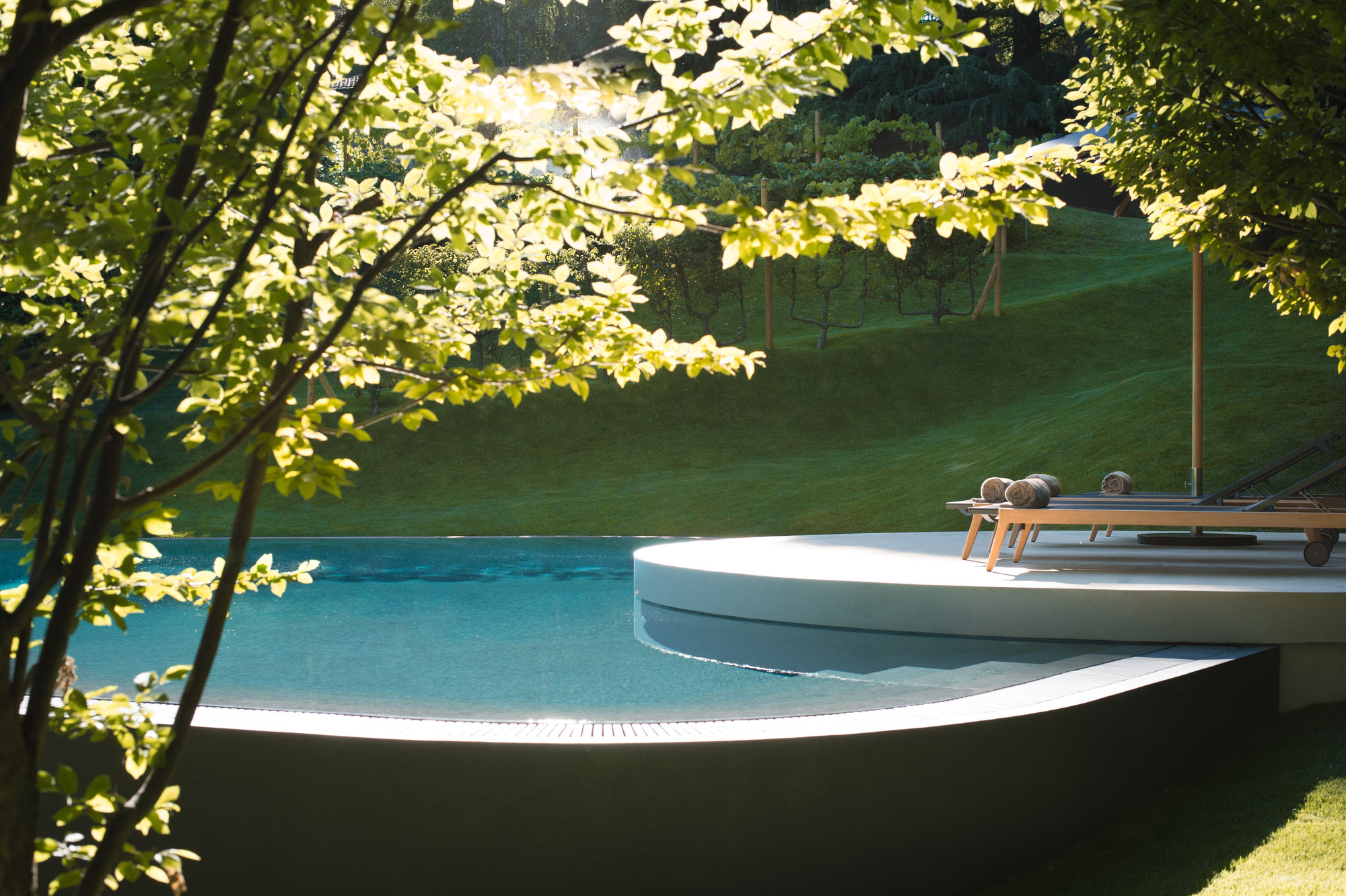 Infinity pool framed by trees